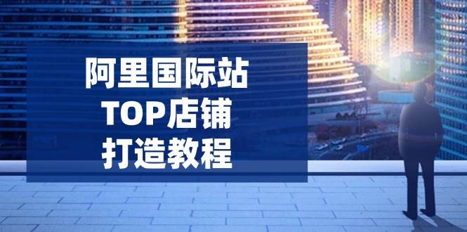 (14269期)阿里国际站TOP店铺打造教程:涵盖平台到高阶,解决运营难题,提升询盘网创吧-网创项目资源站-副业项目-创业项目-搞钱项目网创吧