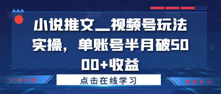 小说推文—视频号玩法实操,单账号半月破5000+收益网创吧-网创项目资源站-副业项目-创业项目-搞钱项目网创吧