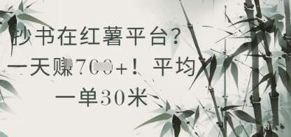 抄书在小红薯平台?平均一单30米,一天收益几张!网创吧-网创项目资源站-副业项目-创业项目-搞钱项目网创吧