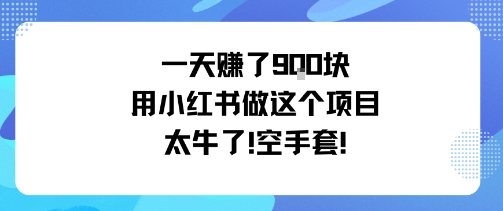 一天挣了9张用小红书做这个项目太牛了，空手套网创吧-网创项目资源站-副业项目-创业项目-搞钱项目网创吧