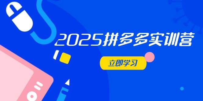 (14531期)2025拼多多实训营:深度剖析运营关键,助力电商人快速提升网创吧-网创项目资源站-副业项目-创业项目-搞钱项目网创吧