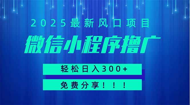 (14375期)微信小程序撸广,最新风口项目,日入300+ 免费分享 可批量操作 小白可...网创吧-网创项目资源站-副业项目-创业项目-搞钱项目网创吧