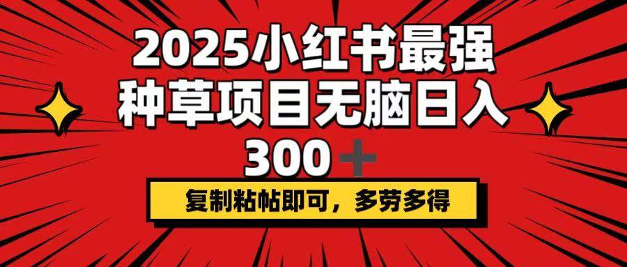 (14375期)2025小红书最强种草项目,无脑日入300+,复制粘帖即可,多劳多得网创吧-网创项目资源站-副业项目-创业项目-搞钱项目网创吧