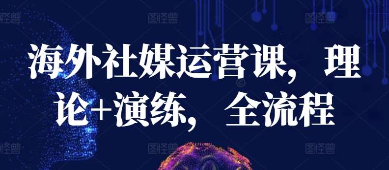 海外社媒运营课,理论+演练,全流程网创吧-网创项目资源站-副业项目-创业项目-搞钱项目网创吧