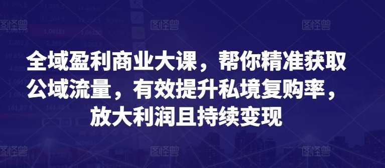 全域盈利商业大课,帮你精准获取公域流量,有效提升私境复购率,放大利润且持续变现网创吧-网创项目资源站-副业项目-创业项目-搞钱项目网创吧