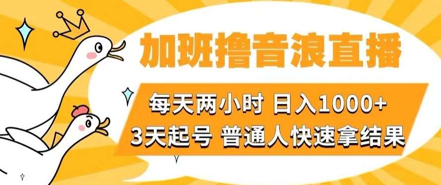 加班撸音浪直播,每天两小时,日入1000+,直播话术才3句,3天起号,普通人快速拿结果【揭秘】网创吧-网创项目资源站-副业项目-创业项目-搞钱项目网创吧