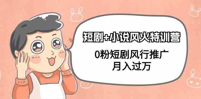 小说+短剧风火特训营,0粉短剧小说风行推广,实现月入过万网创吧-网创项目资源站-副业项目-创业项目-搞钱项目网创吧