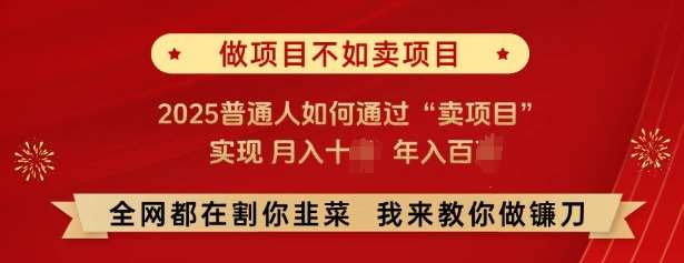 必看,做项目不如卖项目,2025普通人如何通过“卖项目”实现月入十个,年入百个网创吧-网创项目资源站-副业项目-创业项目-搞钱项目网创吧