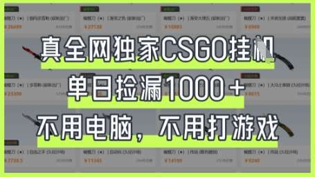 真全网独家CSGO挂G,单日捡漏1k+【揭秘】网创吧-网创项目资源站-副业项目-创业项目-搞钱项目网创吧