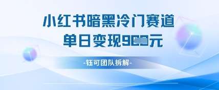 小红书冷门”暗黑”赛道,单日收益多张网创吧-网创项目资源站-副业项目-创业项目-搞钱项目网创吧