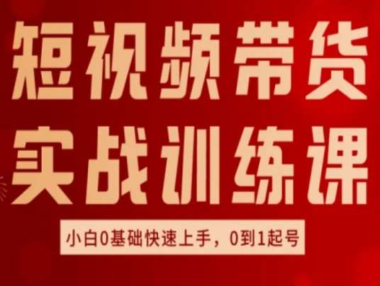 短视频带货实战训练课,好物分享实操,小白0基础快速上手,0到1起号网创吧-网创项目资源站-副业项目-创业项目-搞钱项目网创吧