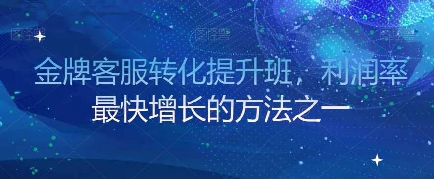 金牌客服转化提升班，利润率最快增长的方法之一网创吧-网创项目资源站-副业项目-创业项目-搞钱项目网创吧