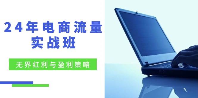 (12168期)24年电商流量实战班:无界 红利与盈利策略,终极提升/关键词优化/精准...网创吧-网创项目资源站-副业项目-创业项目-搞钱项目网创吧