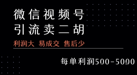 视频号卖二胡教程，利润大 易成交 售后少，一单利润5张+网创吧-网创项目资源站-副业项目-创业项目-搞钱项目网创吧