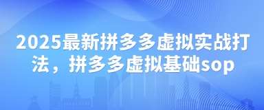 2025最新拼多多虚拟实战打法,拼多多虚拟基础sop网创吧-网创项目资源站-副业项目-创业项目-搞钱项目网创吧