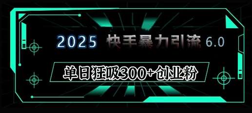 2025年快手6.0保姆级教程震撼来袭,单日狂吸300+精准创业粉网创吧-网创项目资源站-副业项目-创业项目-搞钱项目网创吧