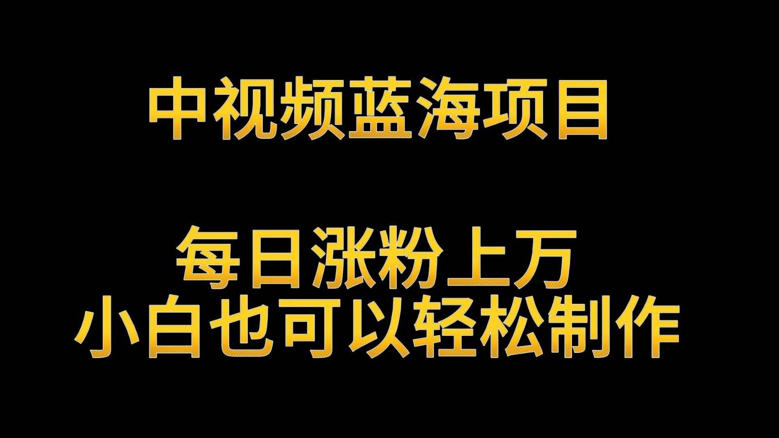 中视频蓝海项目,解读英雄人物生平,每日涨粉上万,小白也可以轻松制作,月入过万网创吧-网创项目资源站-副业项目-创业项目-搞钱项目网创吧