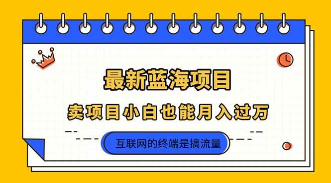(14289期)2025年最新蓝海项目,卖项目小白也能月入过万网创吧-网创项目资源站-副业项目-创业项目-搞钱项目网创吧