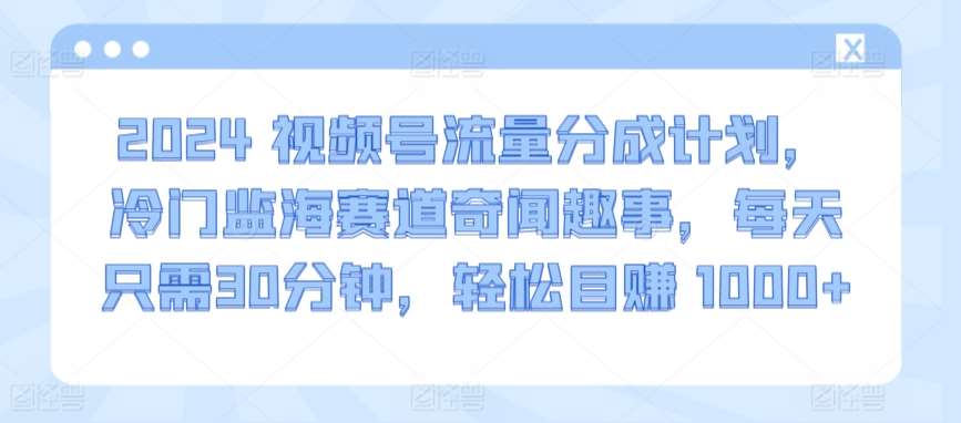 2024视频号流量分成计划,冷门监海赛道奇闻趣事,每天只需30分钟,轻松目赚 1000+【揭秘】网创吧-网创项目资源站-副业项目-创业项目-搞钱项目网创吧