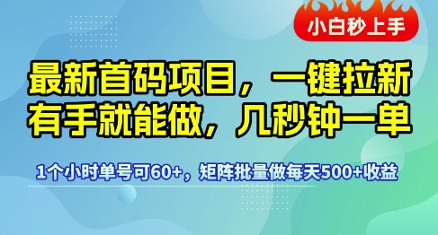 最新首码项目,一键拉新有手就能做,几秒钟一单,1个小时单号可60+,矩阵批量做每天5张【揭秘】网创吧-网创项目资源站-副业项目-创业项目-搞钱项目网创吧
