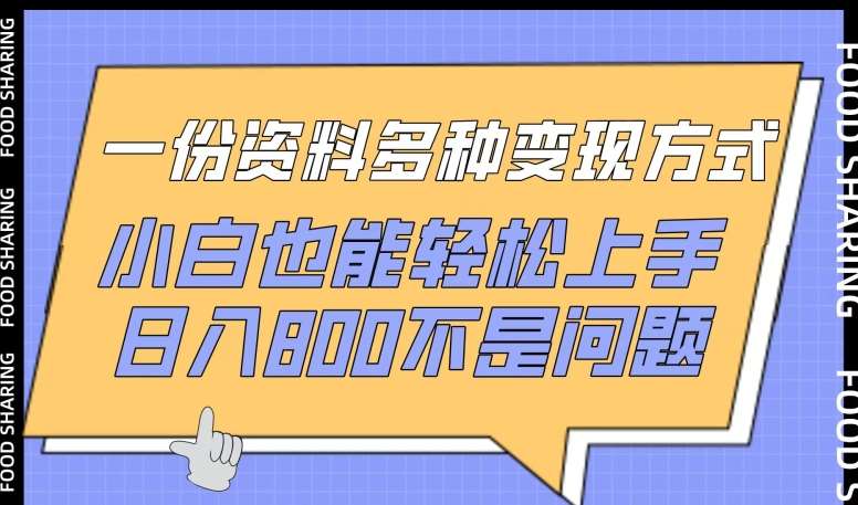 一份资料多种变现方式,小白也能轻松上手,日入800不是问题【揭秘】网创吧-网创项目资源站-副业项目-创业项目-搞钱项目网创吧