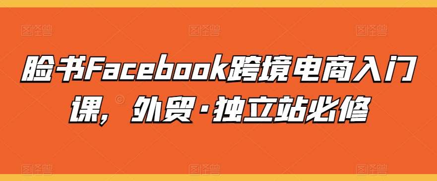 脸书Facebook跨境电商入门课,外贸·独立站必修网创吧-网创项目资源站-副业项目-创业项目-搞钱项目网创吧