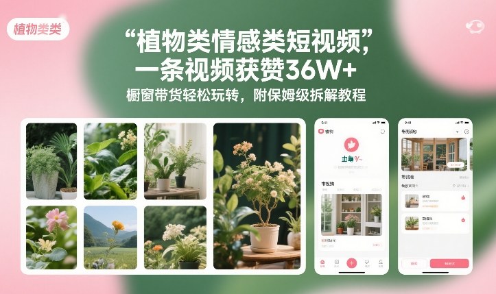 植物类情感类短视频,一条视频获赞36W+,橱窗带货轻松玩转,附保姆级拆解教程网创吧-网创项目资源站-副业项目-创业项目-搞钱项目网创吧