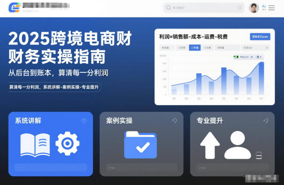 2025跨境电商财务实操指南，从后台到账本，算清每一分利润，系统讲解-案例实操-专业提升网创吧-网创项目资源站-副业项目-创业项目-搞钱项目网创吧