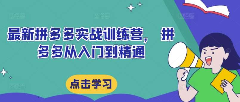 最新拼多多实战训练营, 拼多多从入门到精通网创吧-网创项目资源站-副业项目-创业项目-搞钱项目网创吧