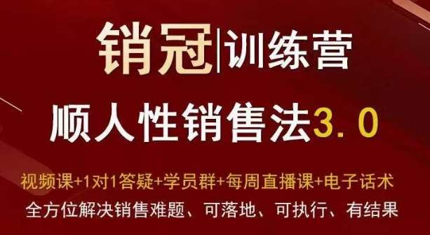 爆款!销冠训练营3.0之顺人性销售法,全方位解决销售难题、可落地、可执行、有结果网创吧-网创项目资源站-副业项目-创业项目-搞钱项目网创吧