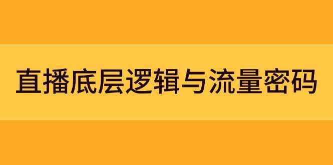 直播底层逻辑与流量密码：定位模型+案例拆解，急速流承接与数据优化全攻略网创吧-网创项目资源站-副业项目-创业项目-搞钱项目网创吧