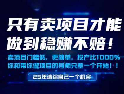 只有卖项目才能做到稳挣不赔,门槛低,更简单,你也可以年入百个W【揭秘】网创吧-网创项目资源站-副业项目-创业项目-搞钱项目网创吧