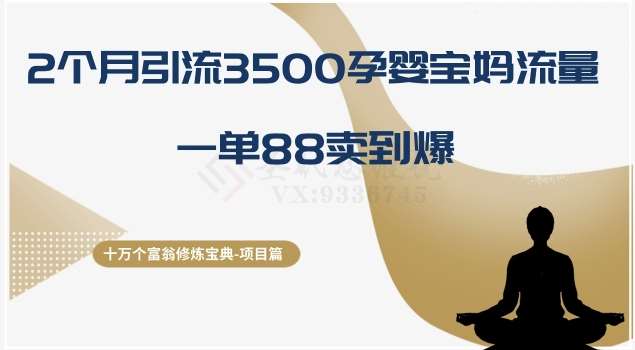 十万个富翁修炼宝典之13.2个月引流3500孕婴宝妈流量,一单88卖到爆网创吧-网创项目资源站-副业项目-创业项目-搞钱项目网创吧