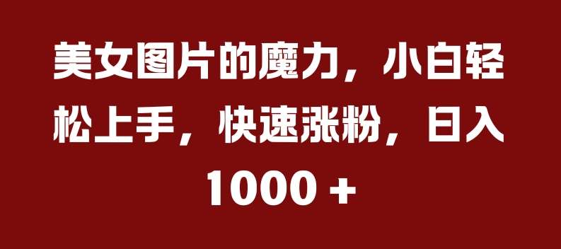 美女图片的魔力，小白轻松上手，快速涨粉，日入几张【揭秘】网创吧-网创项目资源站-副业项目-创业项目-搞钱项目网创吧