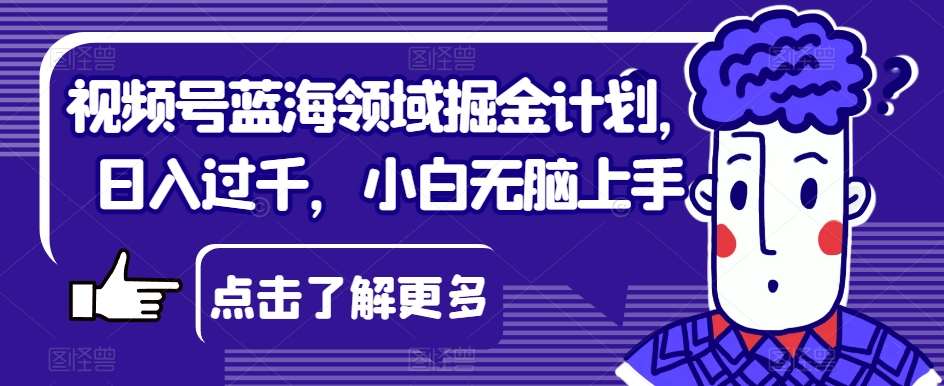 视频号蓝海领域掘金计划,日入过千,小白无脑上手【揭秘】网创吧-网创项目资源站-副业项目-创业项目-搞钱项目网创吧