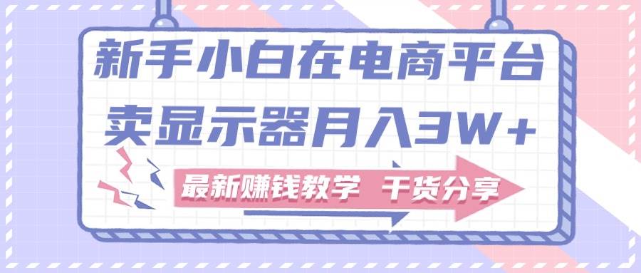 (11053期)新手小白如何做到在电商平台卖显示器月入3W+,最新赚钱教学干货分享网创吧-网创项目资源站-副业项目-创业项目-搞钱项目网创吧