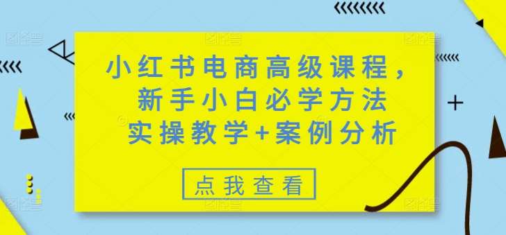 小红书电商高级课程,新手小白必学方法,实操教学+案例分析网创吧-网创项目资源站-副业项目-创业项目-搞钱项目网创吧