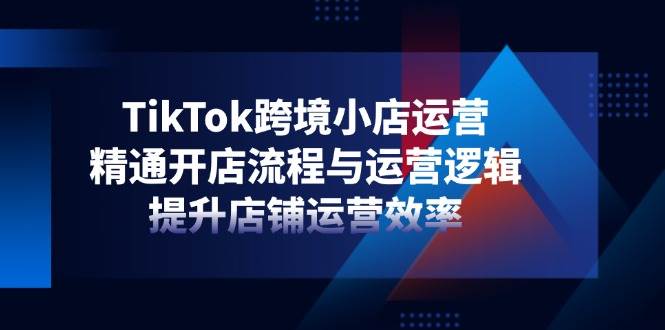 (14369期)TikTok跨境小店运营,精通开店流程与运营逻辑,提升店铺运营效率网创吧-网创项目资源站-副业项目-创业项目-搞钱项目网创吧