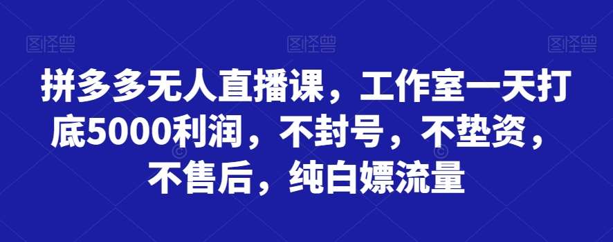 拼多多无人直播课,工作室一天打底5000利润,不封号,不垫资,不售后,纯白嫖流量网创吧-网创项目资源站-副业项目-创业项目-搞钱项目网创吧