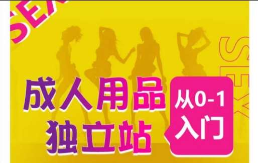 成人用品独立站从0-1入门,成品独立站运营全流程教学,七大好卖成品独立站推荐网创吧-网创项目资源站-副业项目-创业项目-搞钱项目网创吧