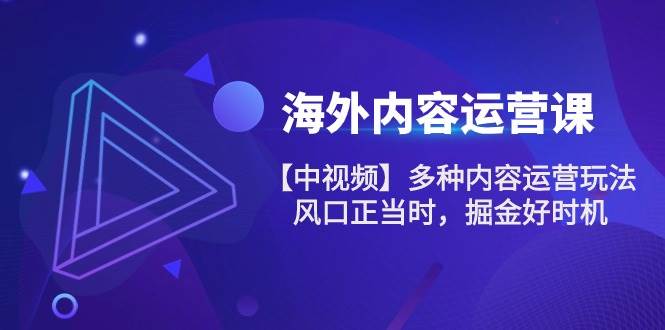 (10833期)海外内容 运营课【中视频】多种内容运营玩法 风口正当时 掘金好时机-101节网创吧-网创项目资源站-副业项目-创业项目-搞钱项目网创吧