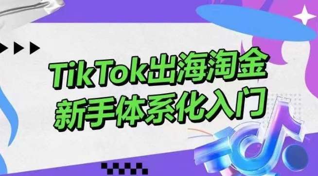 TikTok出海淘金,新手体系化入门,零基础快速入门,掌握短视频、直播带货等引流到变现的知识网创吧-网创项目资源站-副业项目-创业项目-搞钱项目网创吧