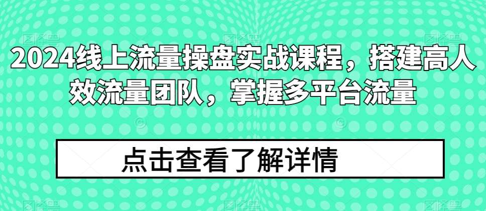2024线上流量操盘实战课程,搭建高人效流量团队,掌握多平台流量网创吧-网创项目资源站-副业项目-创业项目-搞钱项目网创吧