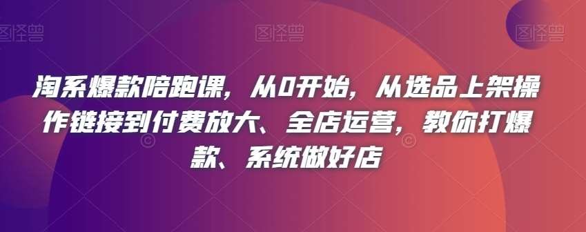 淘系爆款陪跑课,从0开始,从选品上架操作链接到付费放大、全店运营,教你打爆款、系统做好店网创吧-网创项目资源站-副业项目-创业项目-搞钱项目网创吧