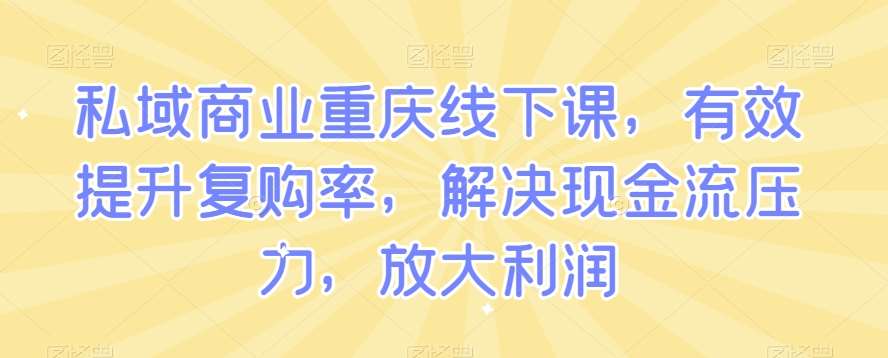 私域商业重庆线下课，有效提升复购率，解决现金流压力，放大利润网创吧-网创项目资源站-副业项目-创业项目-搞钱项目网创吧