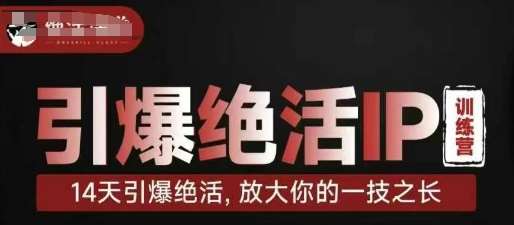 引爆绝活IP训练营,14天引爆绝活,放大你的一技之长网创吧-网创项目资源站-副业项目-创业项目-搞钱项目网创吧