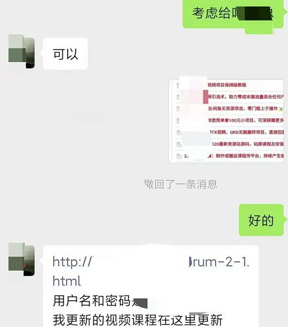 小彬网虚拟资源网站培训课程,如何一个月快速做出盈利的资源网站(实打实经验)网创吧-网创项目资源站-副业项目-创业项目-搞钱项目网创吧