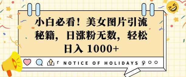 小白必看,美女图片引流秘籍,日涨粉无数,轻松日入几张【揭秘】网创吧-网创项目资源站-副业项目-创业项目-搞钱项目网创吧