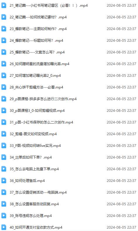 (12003期)2024小红书电商实战课:全体系打造 全方位梳理 小红书电商逻辑体系 (42节)网创吧-网创项目资源站-副业项目-创业项目-搞钱项目网创吧