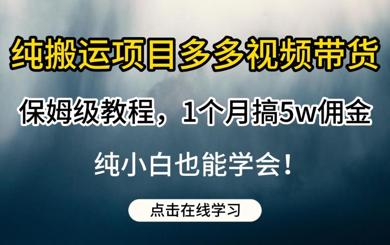 纯搬运项目多多视频带货保姆级教程,1个月搞5w佣金,纯小白也能学会【揭秘】网创吧-网创项目资源站-副业项目-创业项目-搞钱项目网创吧